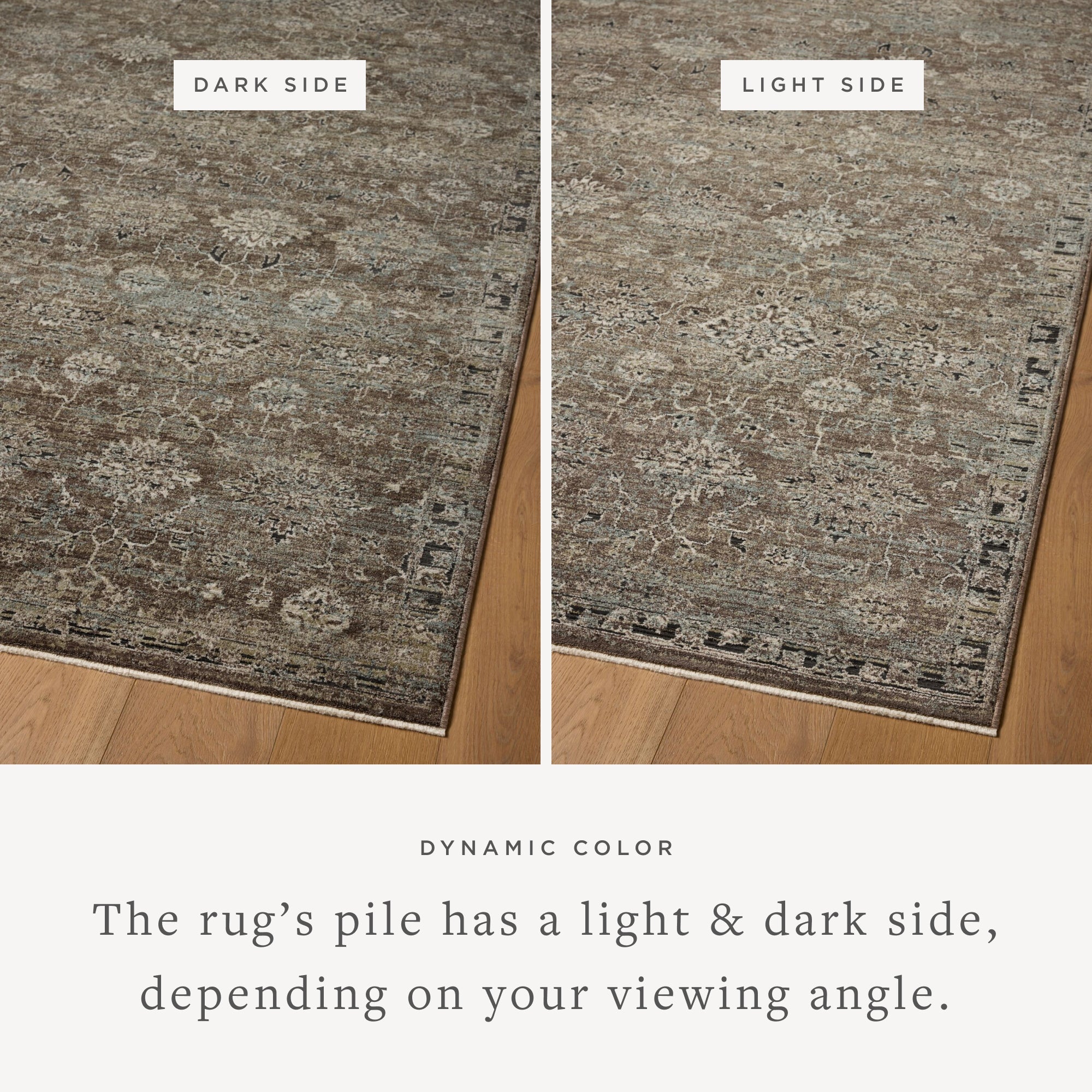 Loloi Briar Bark / Lagoon Area Rug White Cliff Studio Area Rug