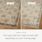 Loloi Briar Ivory / Multi Area Rug White Cliff Studio Area Rug