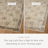 Loloi Briar Ivory / Multi Area Rug White Cliff Studio Area Rug