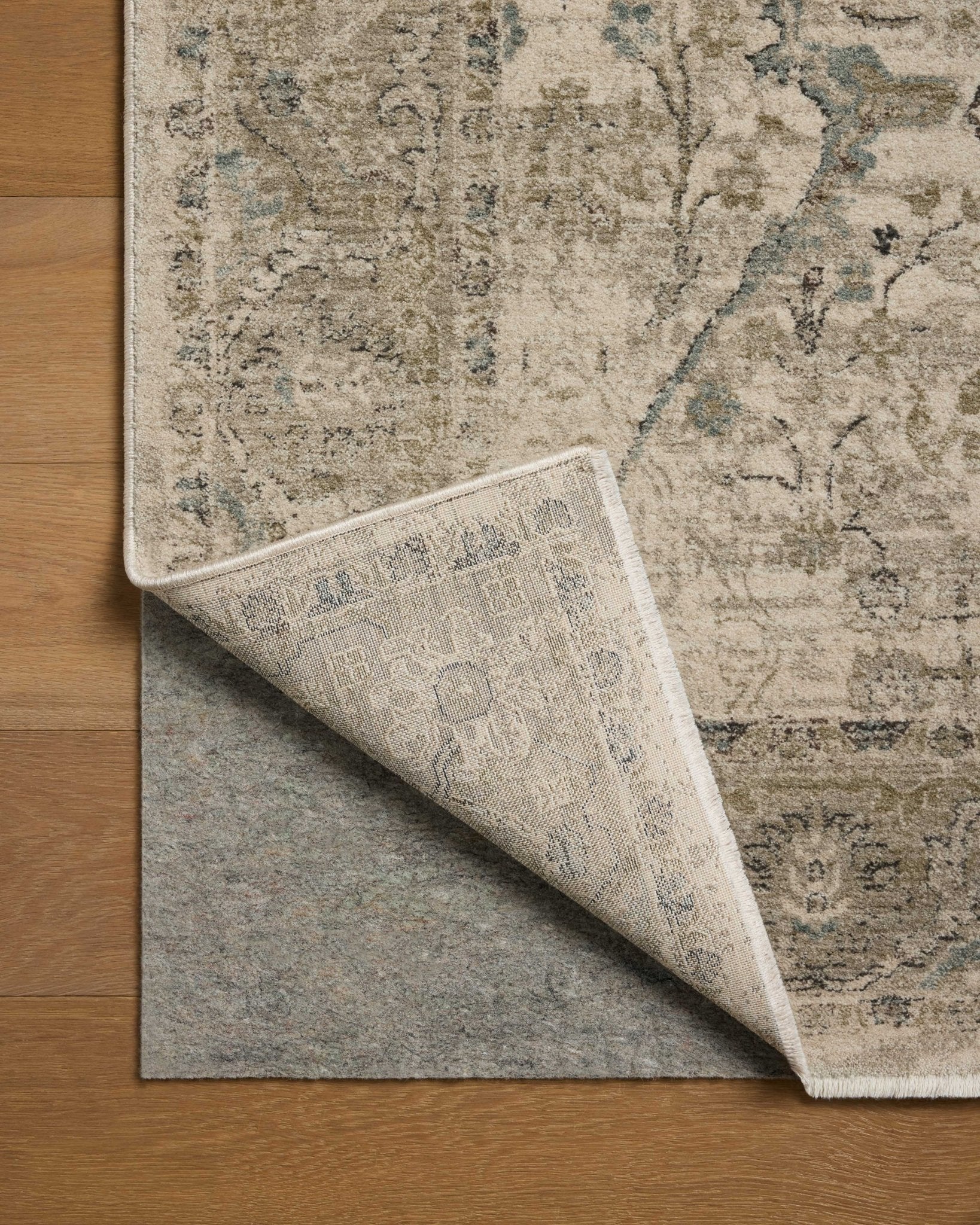 Loloi Briar Ivory / Sage Area Rug White Cliff Studio Area Rug