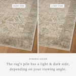 Loloi Briar Ivory / Sage Area Rug White Cliff Studio Area Rug