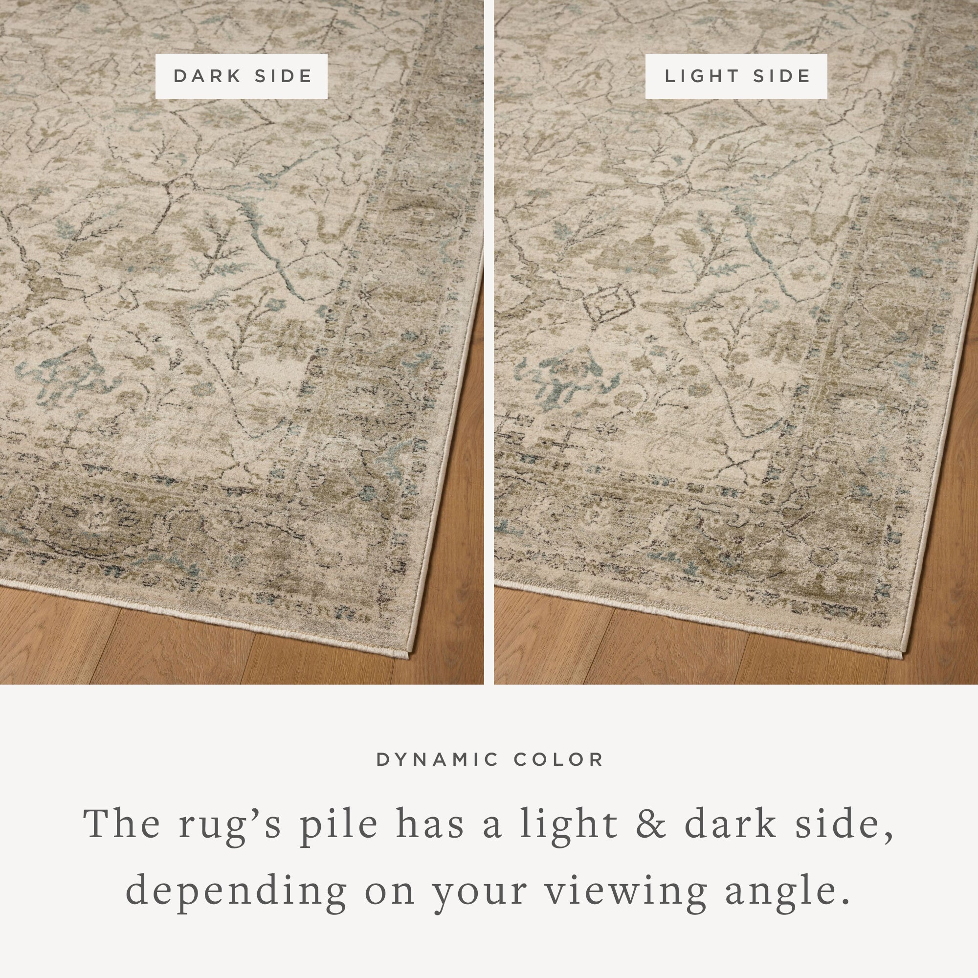 Loloi Briar Ivory / Sage Area Rug White Cliff Studio Area Rug