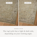 Loloi Briar Olive / Stone Area Rug White Cliff Studio Area Rug