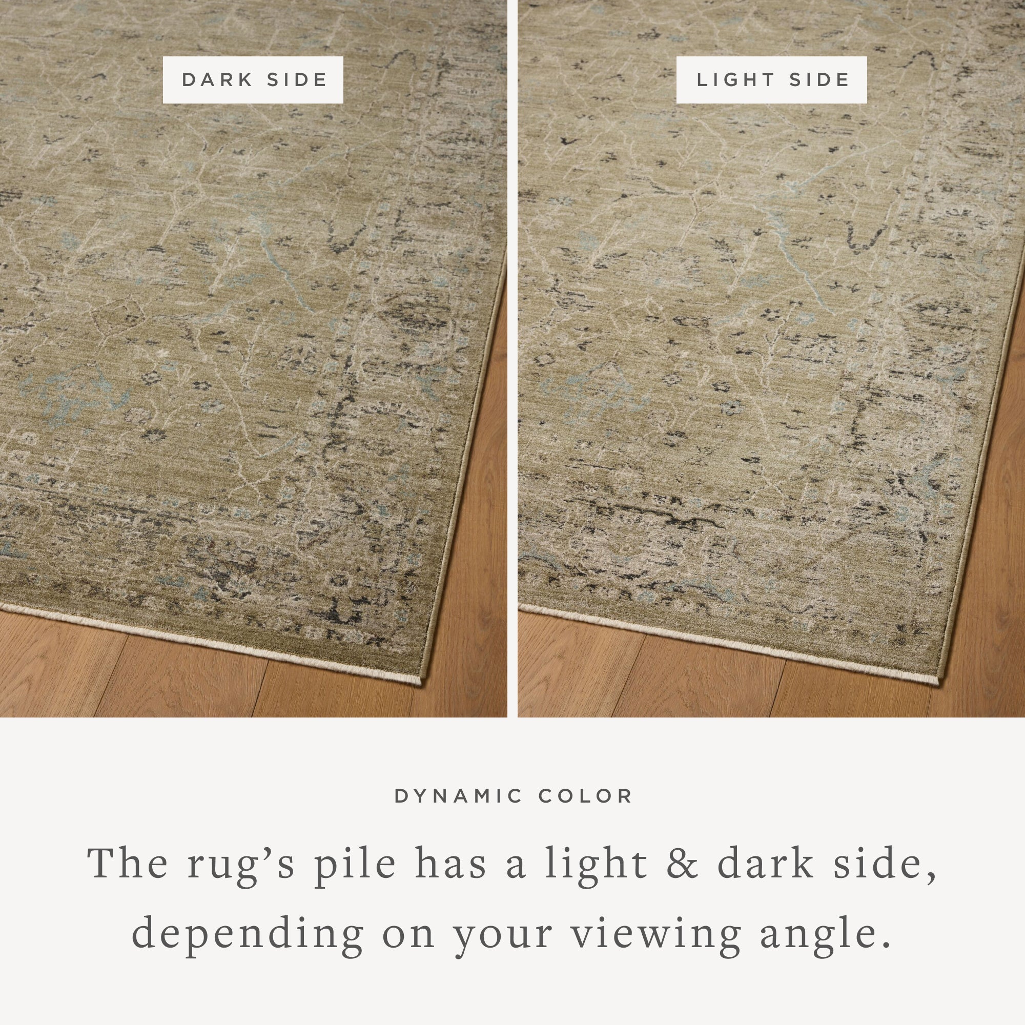 Loloi Briar Olive / Stone Area Rug White Cliff Studio Area Rug