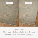 Loloi Briar Sky / Moss Area Rug White Cliff Studio Area Rug