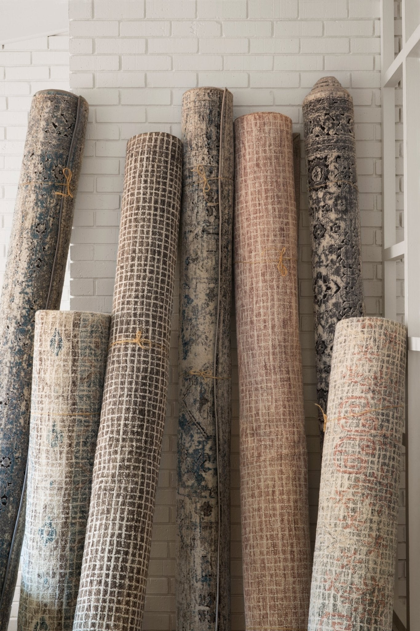 Loloi Giana Blush Rug