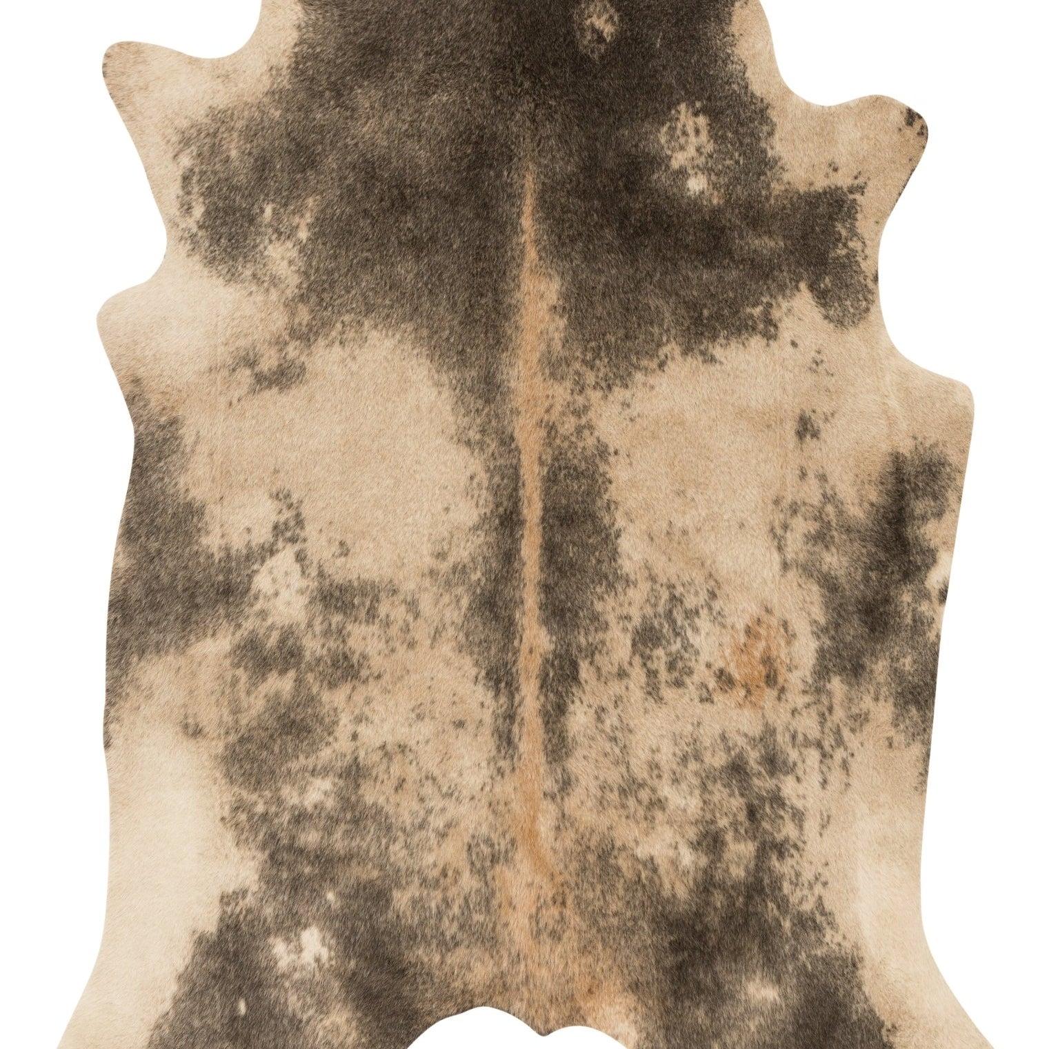 Loloi Grand Canyon Beige / Ash Accent Rug White Cliff Studio Accent Rug