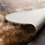 Loloi Grand Canyon Coffee / Ivory Accent Rug White Cliff Studio Accent Rug