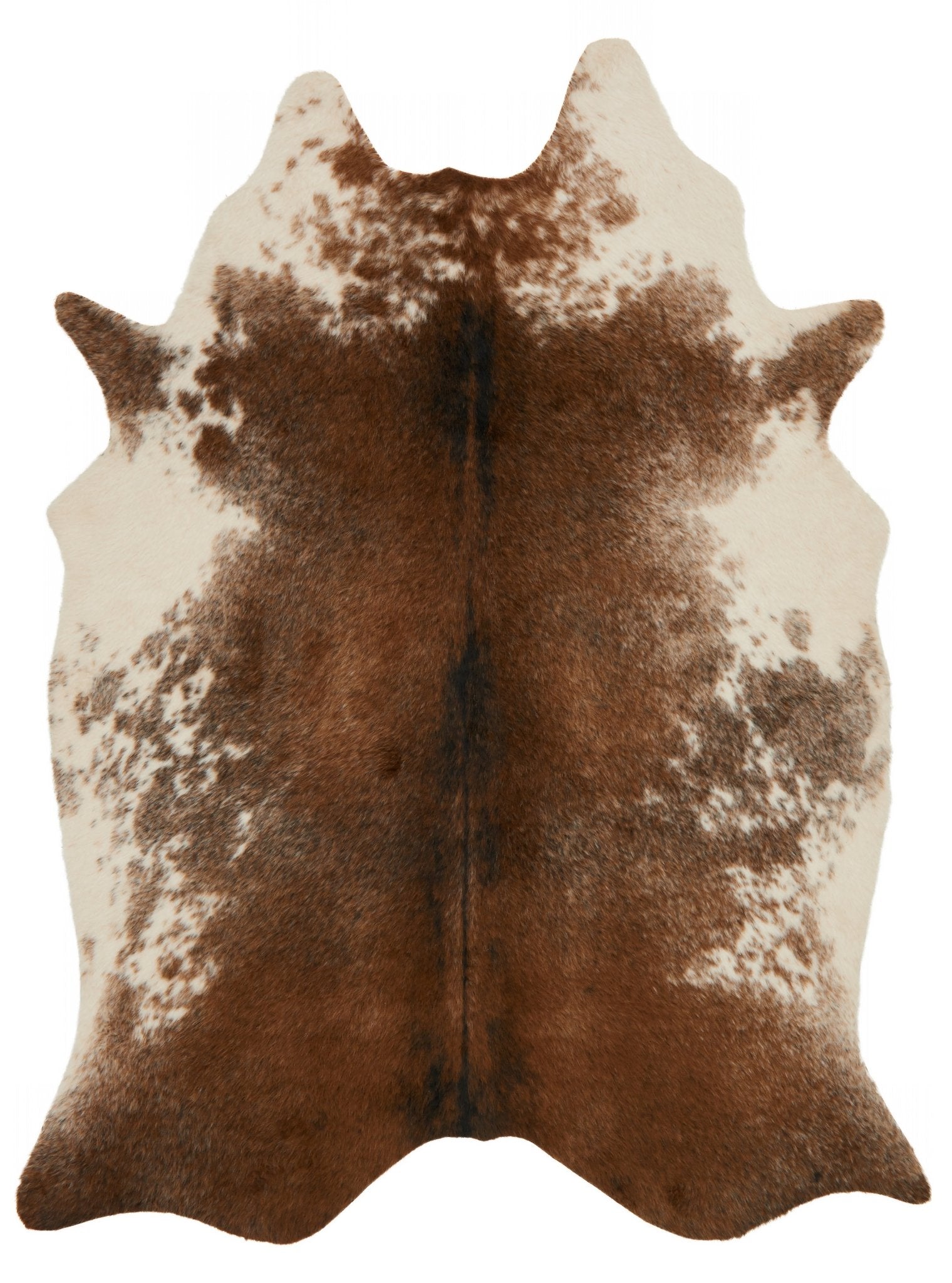 Loloi Grand Canyon Coffee / Ivory Accent Rug White Cliff Studio Accent Rug