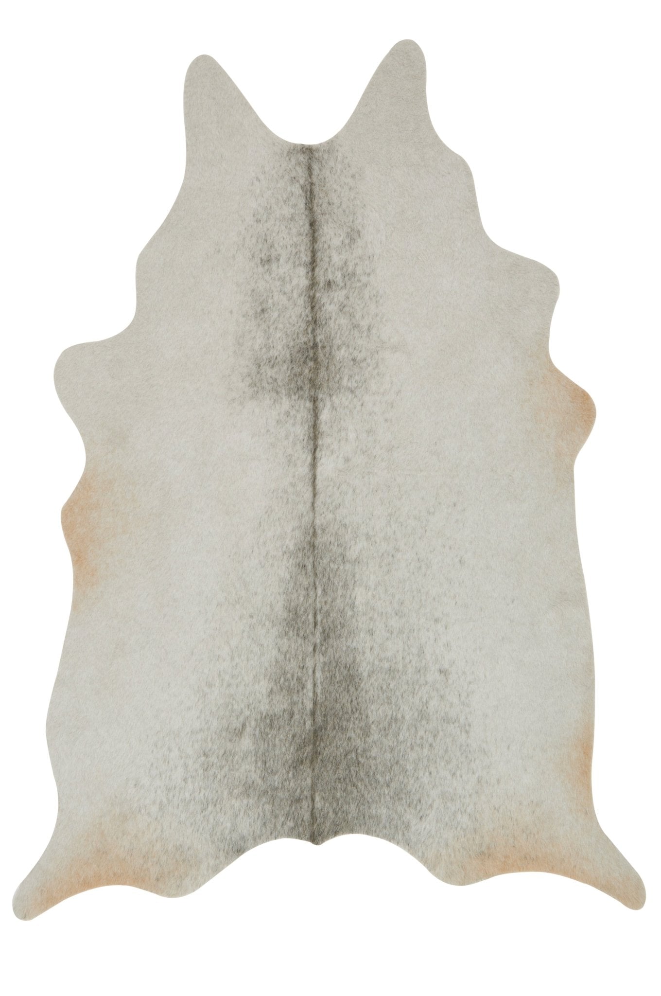 Loloi Grand Canyon Silver / Grey Accent Rug White Cliff Studio Accent Rug