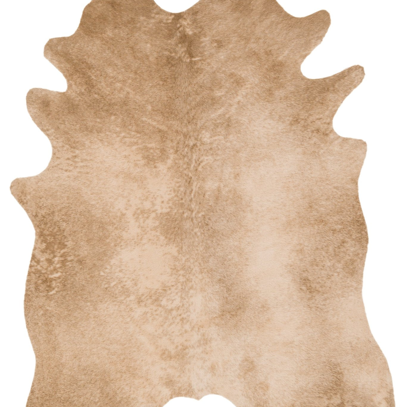 Loloi Grand Canyon Tan Accent Rug White Cliff Studio Accent Rug