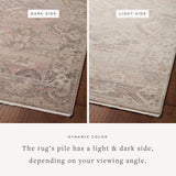 Loloi Lyra Blush / Dove Area Rug White Cliff Studio Area Rug