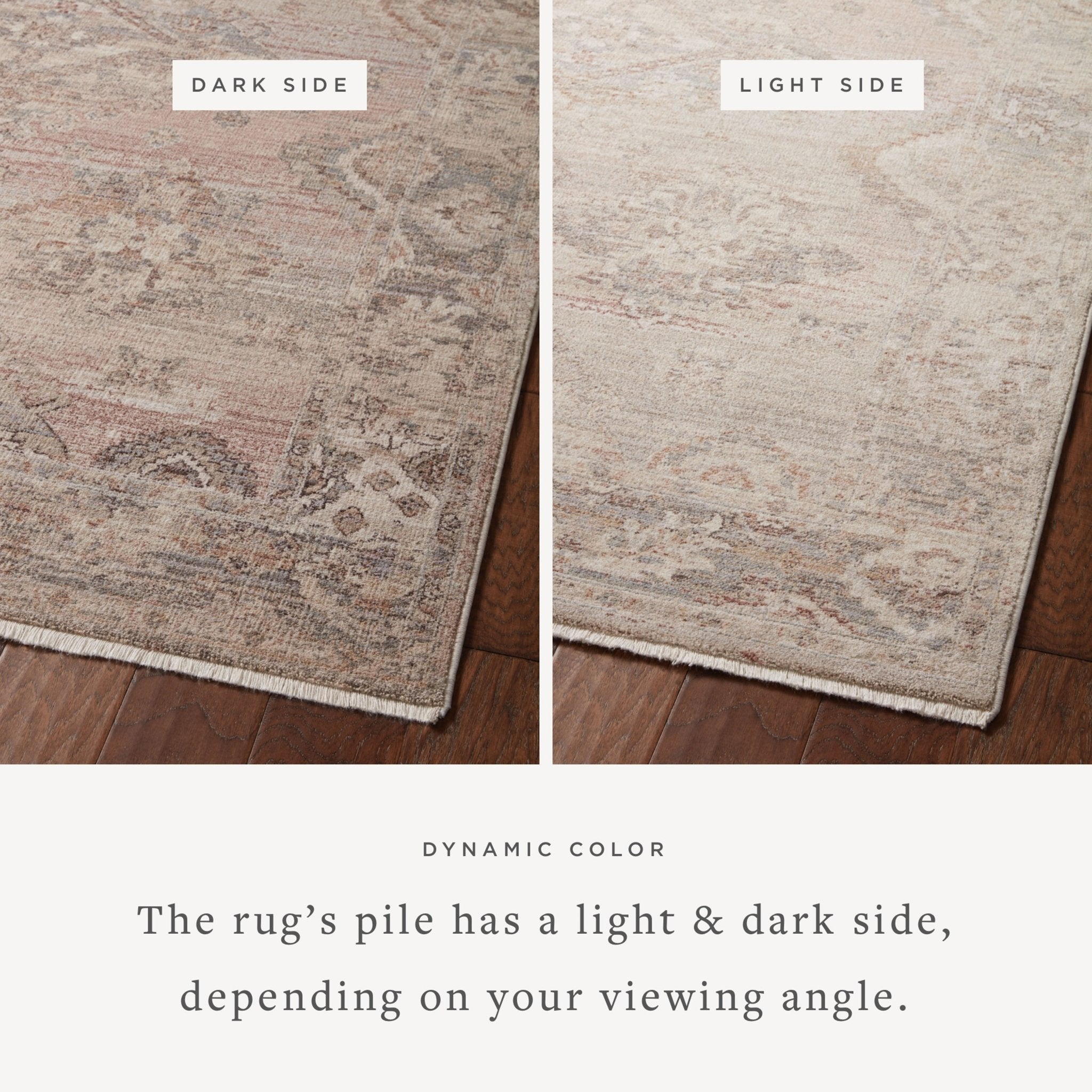 Loloi Lyra Blush / Dove Area Rug White Cliff Studio Area Rug