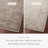 Loloi Lyra Natural / Gold Area Rug White Cliff Studio Area Rug