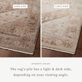 Loloi Lyra Natural / Mocha Area Rug White Cliff Studio Area Rug