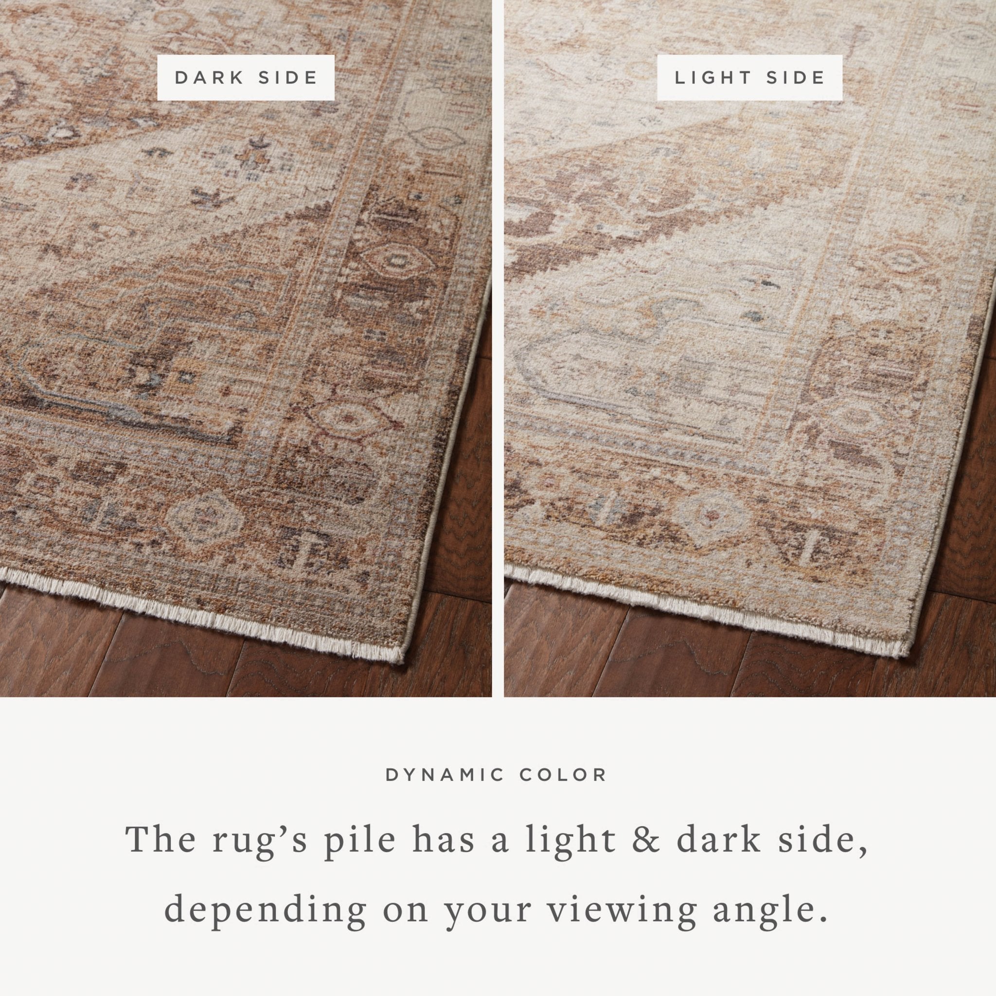 Loloi Lyra Natural / Mocha Area Rug White Cliff Studio Area Rug