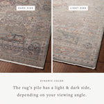 Loloi Lyra Sky / Multi Area Rug White Cliff Studio Area Rug