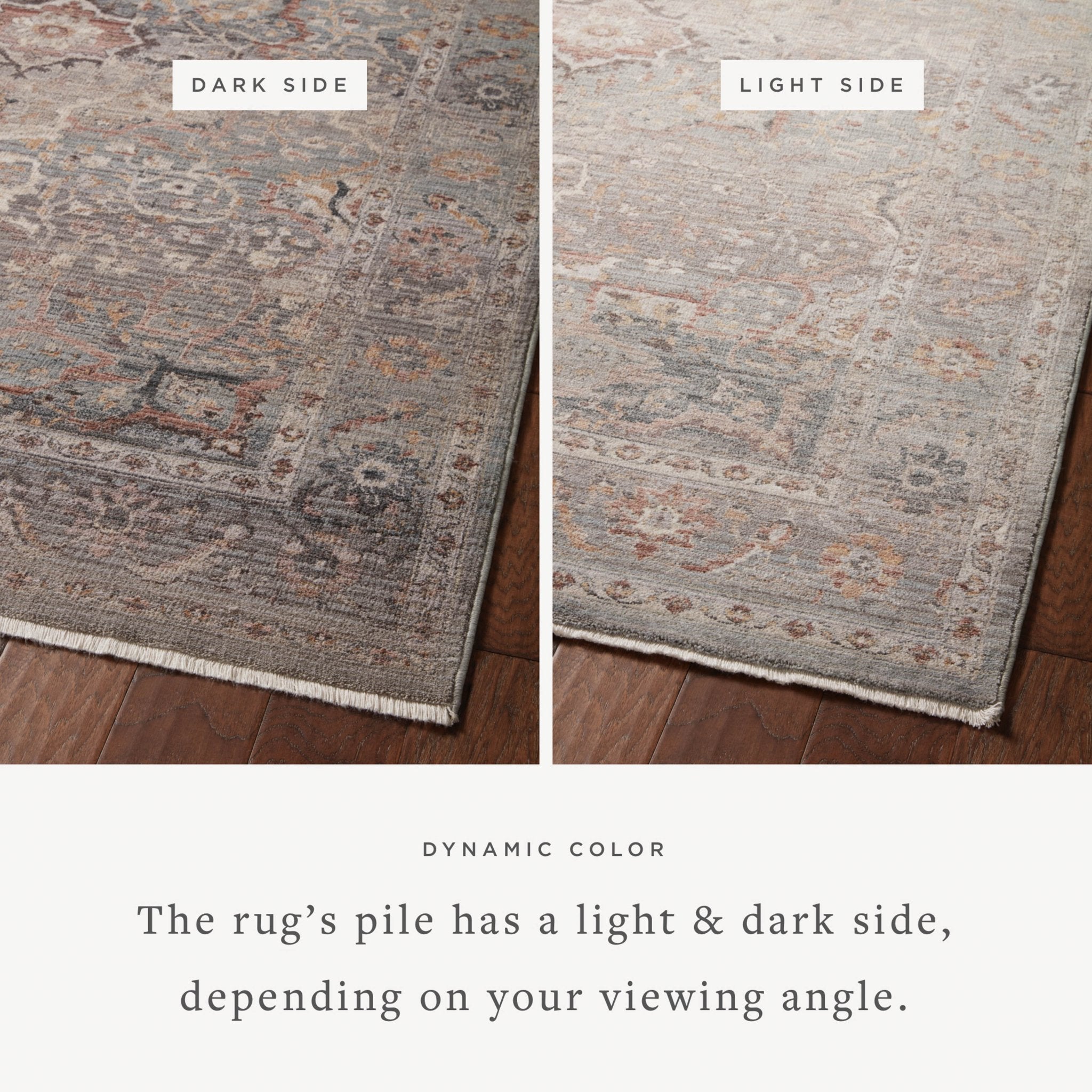 Loloi Lyra Sky / Multi Area Rug White Cliff Studio Area Rug