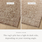 Loloi Newman Bark / Natural Area Rug White Cliff Studio Area Rug
