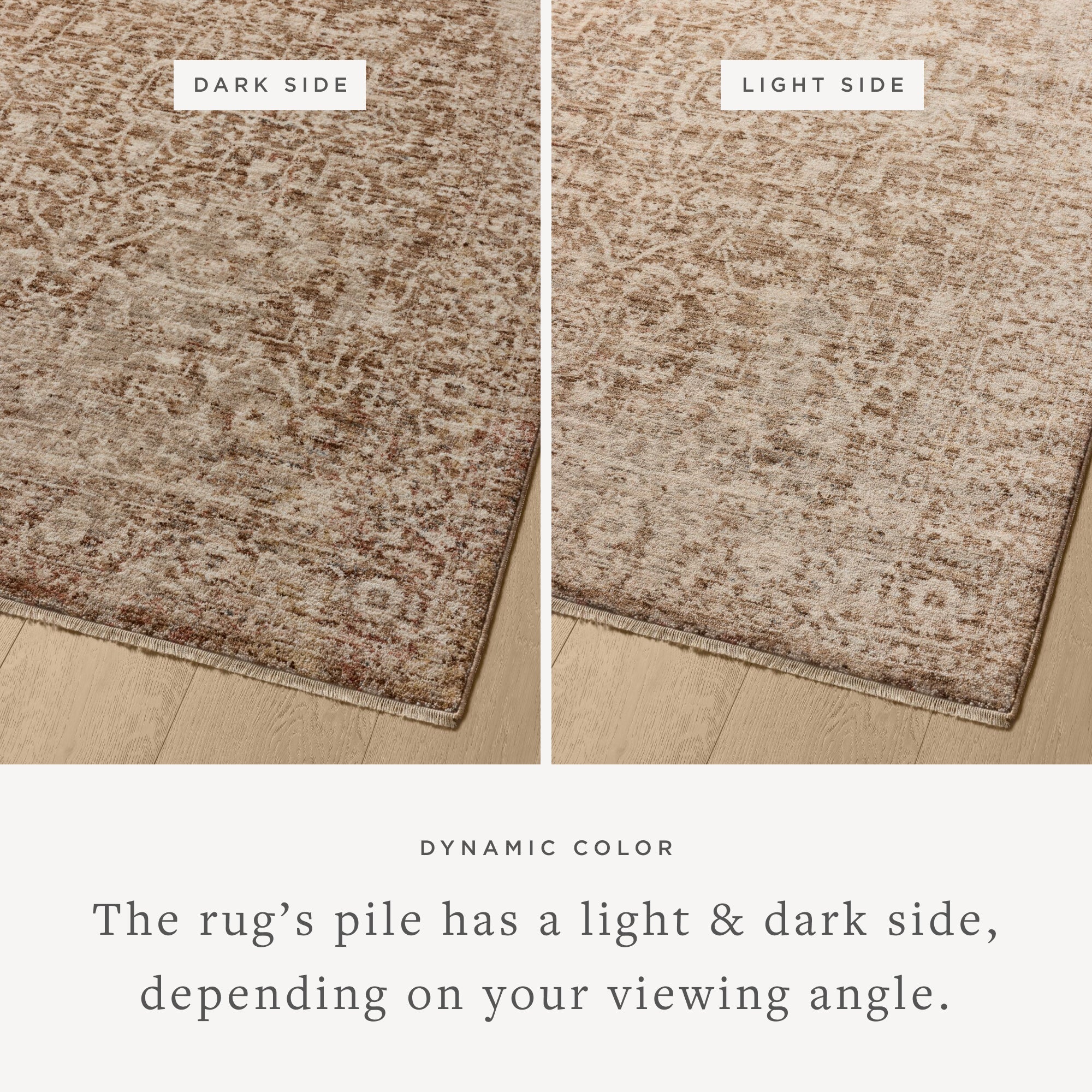 Loloi Newman Bark / Natural Area Rug White Cliff Studio Area Rug