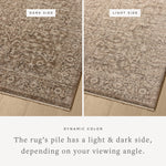 Loloi Newman Dark Taupe / Natural Area Rug White Cliff Studio Area Rug
