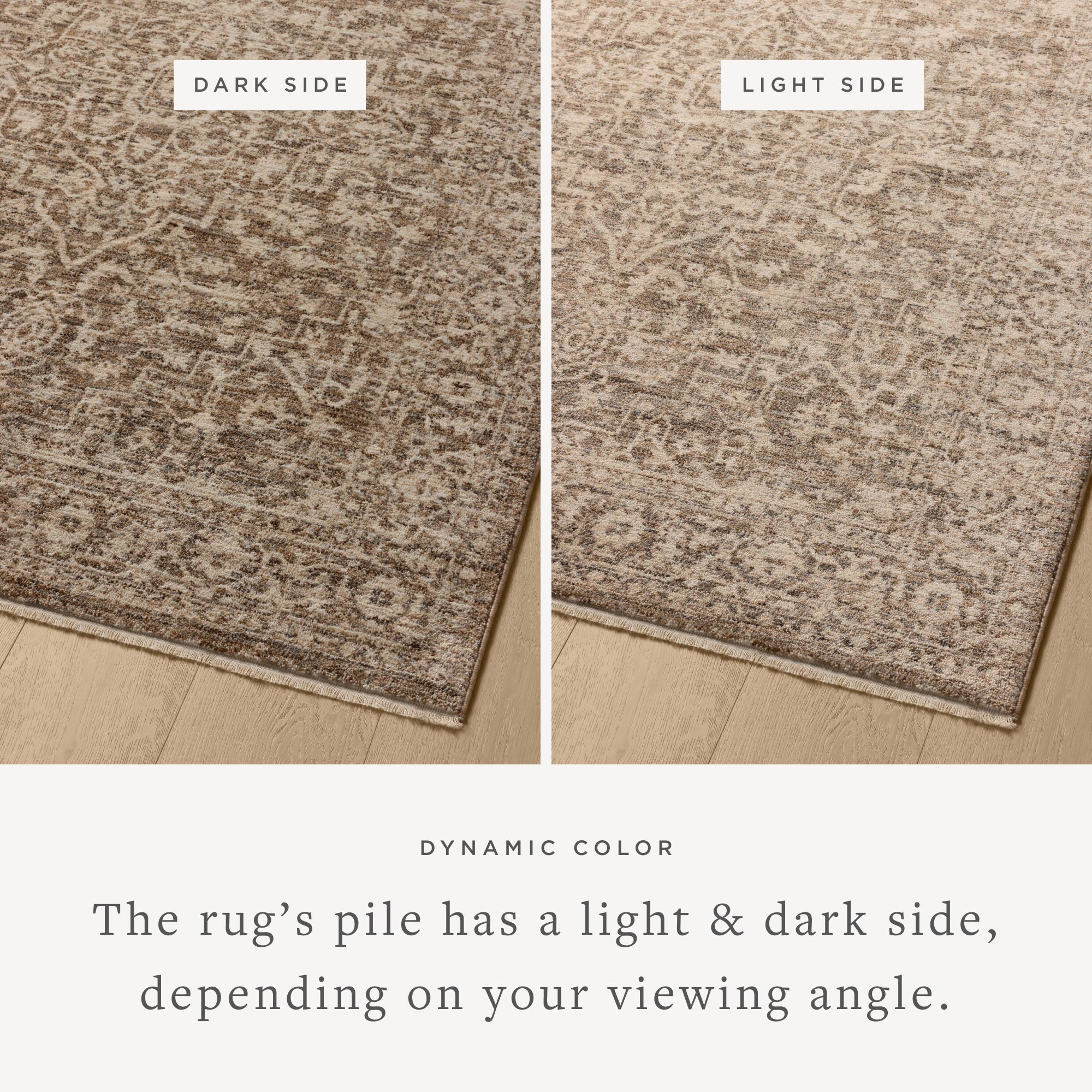 Loloi Newman Dark Taupe / Natural Area Rug White Cliff Studio Area Rug