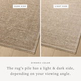 Loloi Newman Taupe / Bone Area Rug White Cliff Studio Area Rug