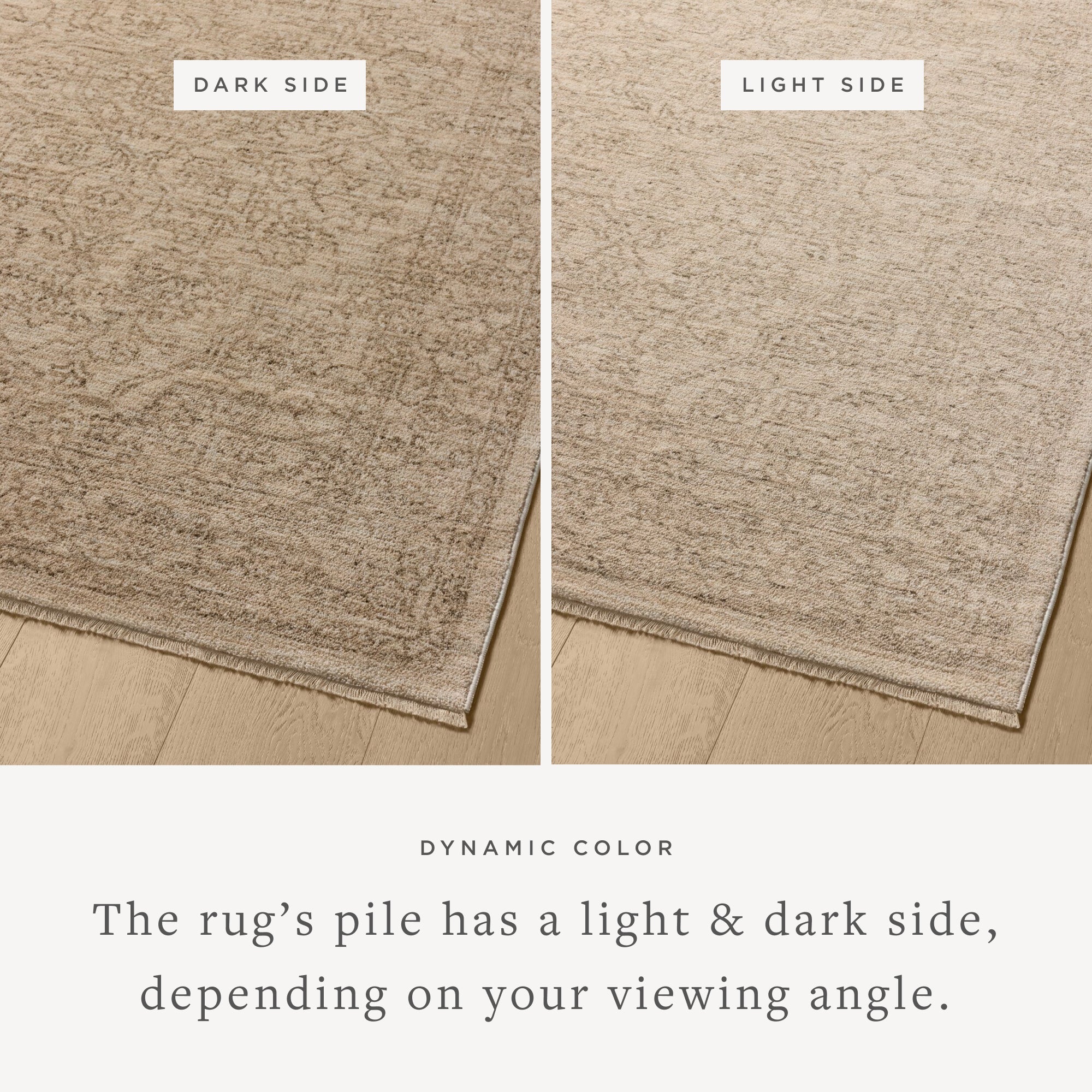 Loloi Newman Taupe / Bone Area Rug White Cliff Studio Area Rug