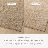Loloi Newman Wheat / Natural Area Rug White Cliff Studio Area Rug