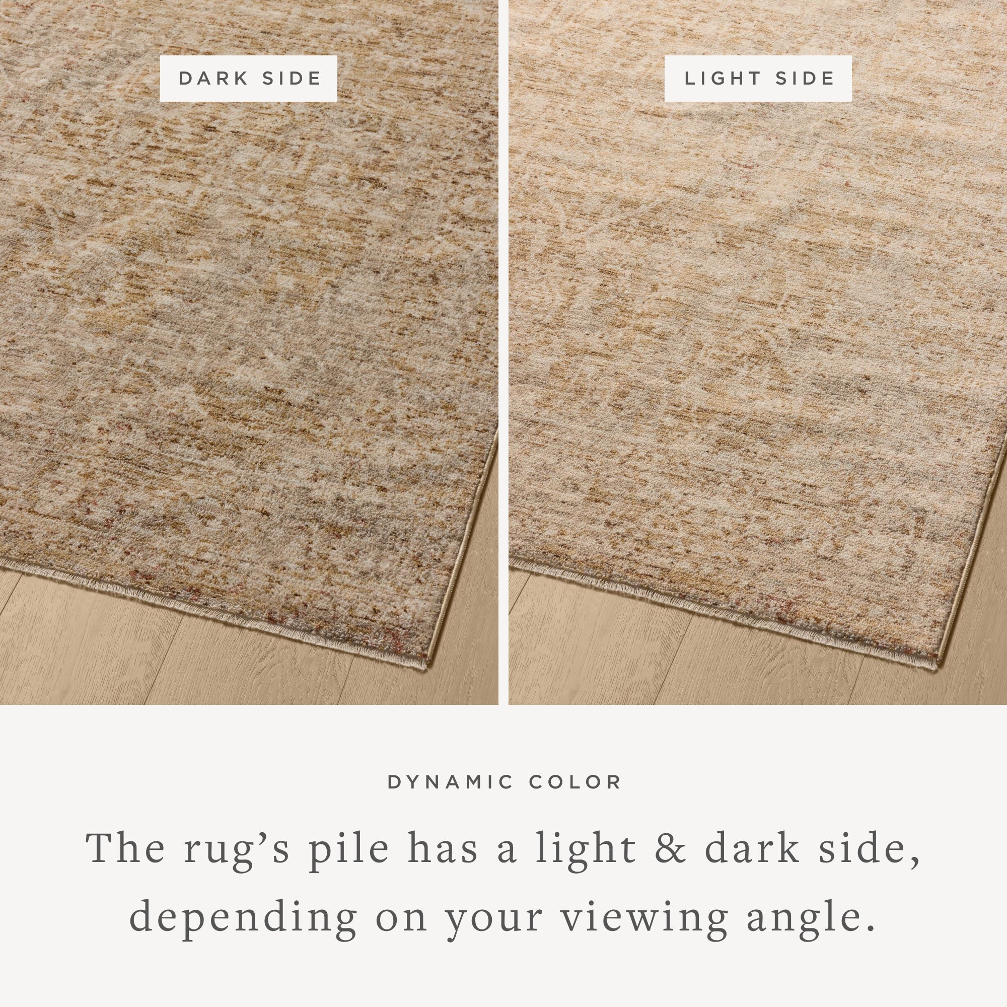 Loloi Newman Wheat / Natural Area Rug White Cliff Studio Area Rug