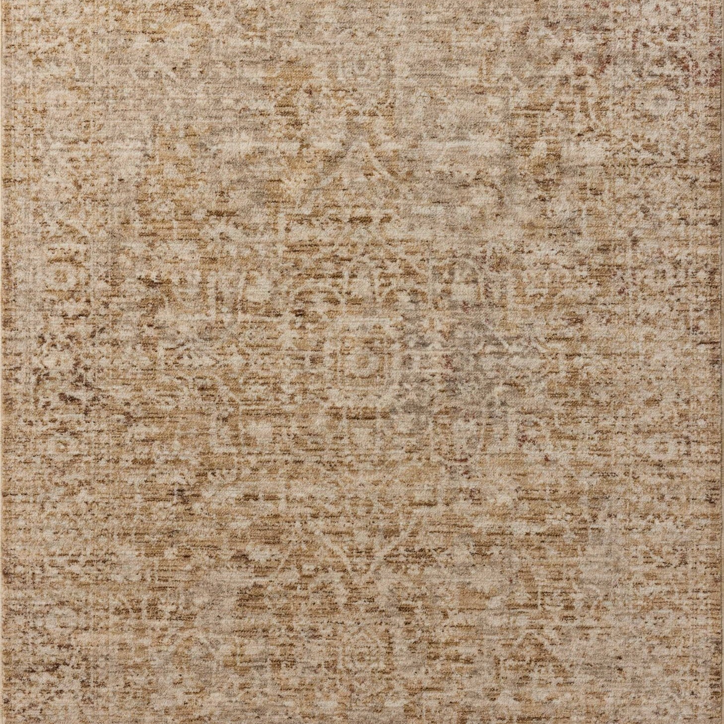 Loloi Newman Wheat / Natural Area Rug White Cliff Studio Area Rug