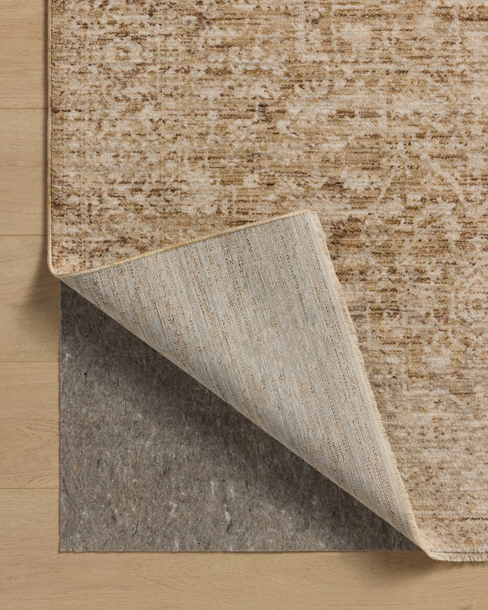 Loloi Newman Wheat / Natural Area Rug White Cliff Studio Area Rug