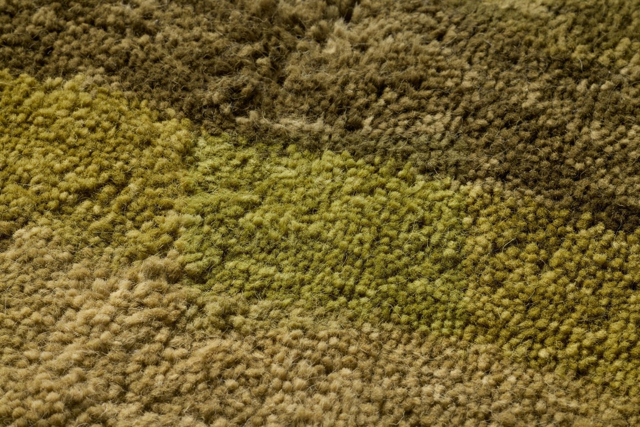 Loloi Pacifico Green / Beige Wall Art White Cliff Studio Wall Art