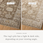 Loloi Priscilla Bark / Ivory Rug White Cliff Studio Area Rugs