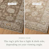 Loloi Priscilla Bark / Ivory Rug White Cliff Studio Area Rugs