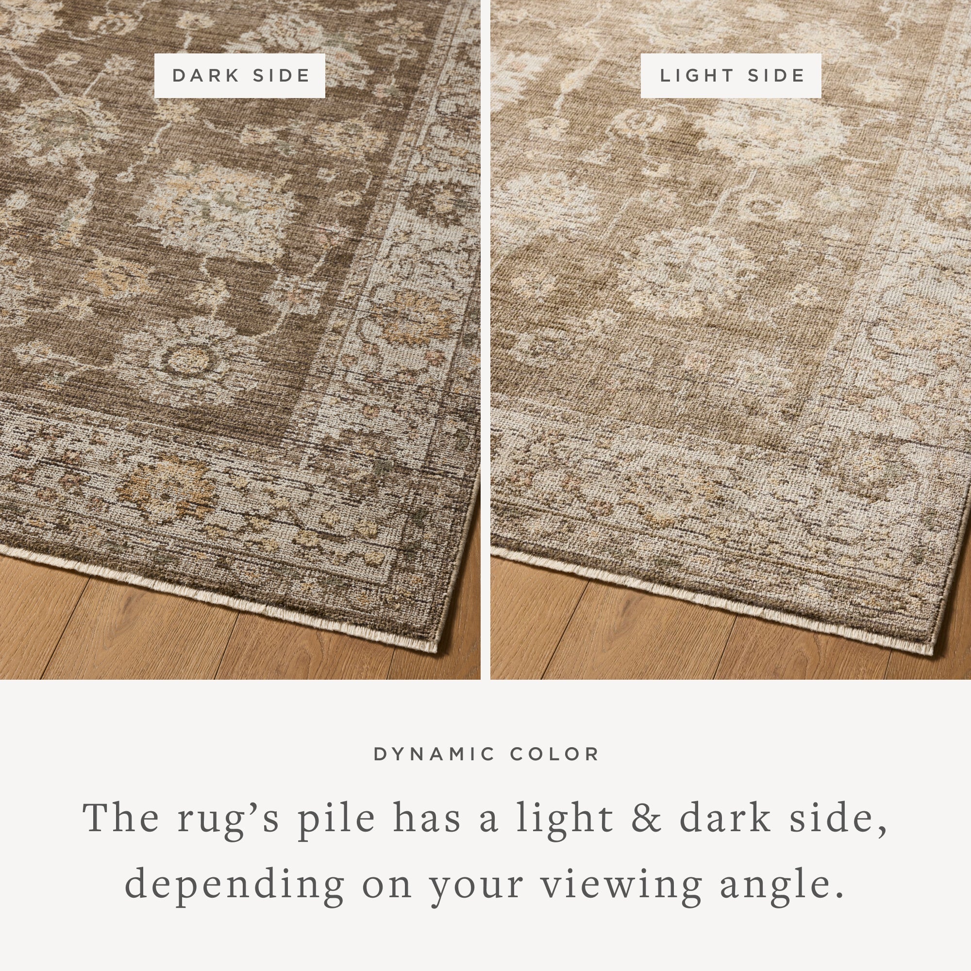 Loloi Priscilla Bark / Ivory Rug White Cliff Studio Area Rugs