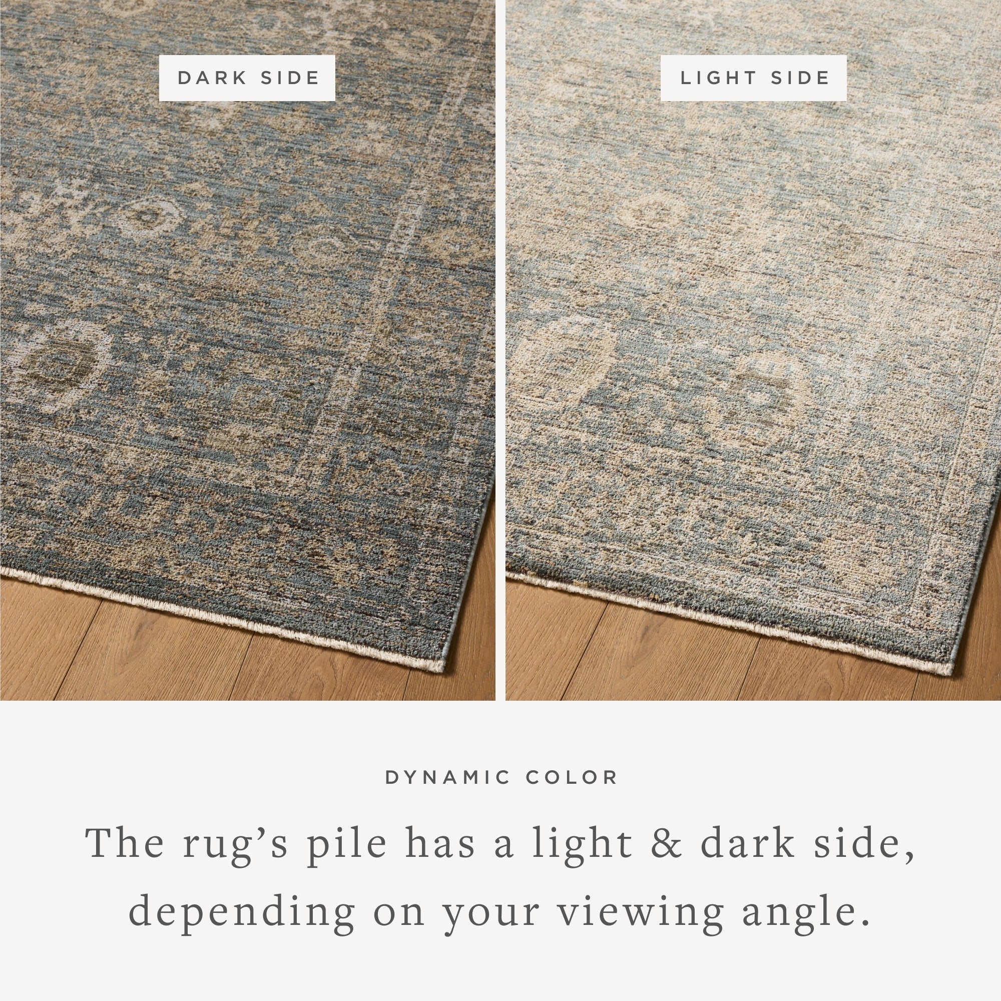 Loloi Priscilla Blue / Sand Rug White Cliff Studio Area Rugs