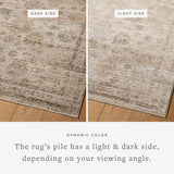 Loloi Priscilla Ivory / Multi Rug White Cliff Studio Area Rugs