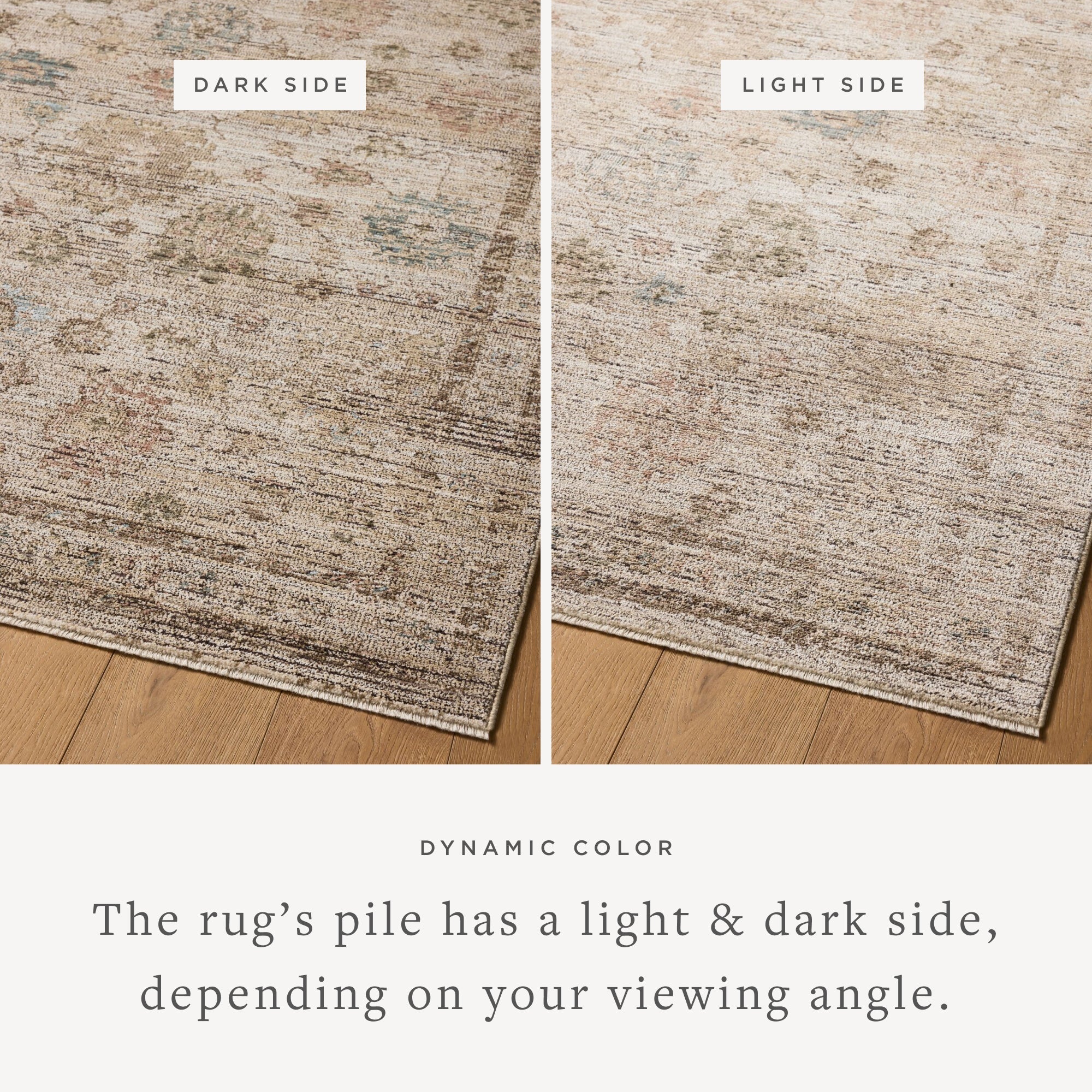 Loloi Priscilla Ivory / Multi Rug White Cliff Studio Area Rugs
