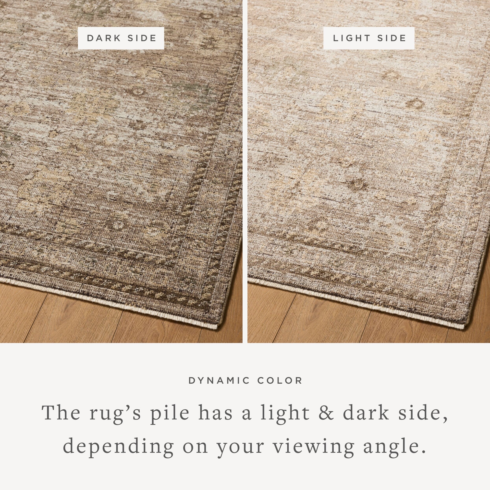 Loloi Priscilla Sand / Earth Rug White Cliff Studio Area Rugs