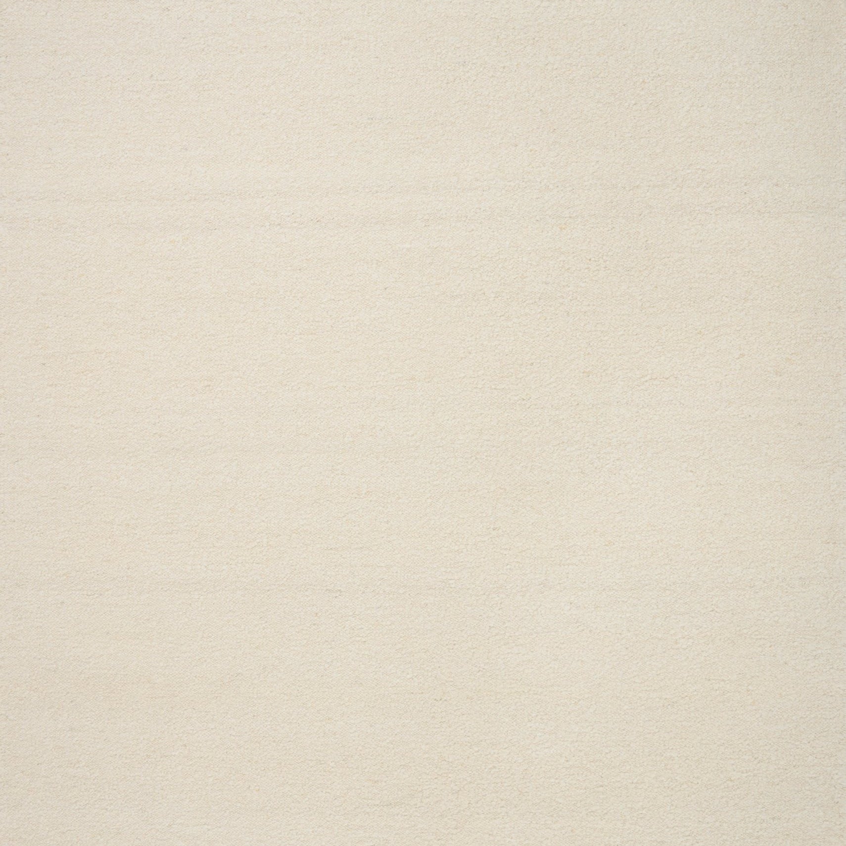 Loloi Reyla Ivory / Silver Area Rug White Cliff Studio Area Rug