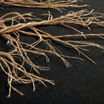 Loloi Rooted Black / Beige Wall Art