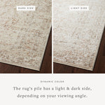 Loloi Sonnet Beige / Terracotta Area Rug White Cliff Studio Area Rug