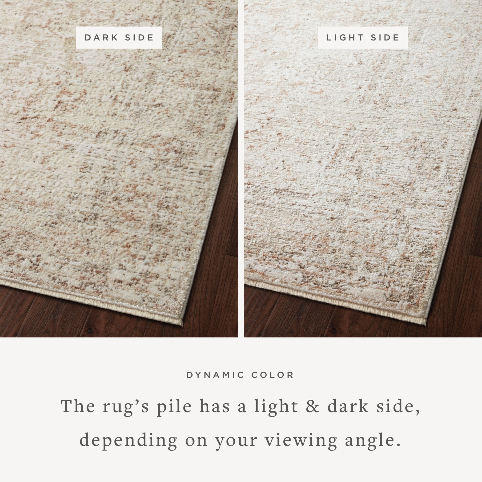 Loloi Sonnet Beige / Terracotta Area Rug White Cliff Studio Area Rug