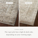 Loloi Sonnet Grey / Sage Area Rug White Cliff Studio Area Rug