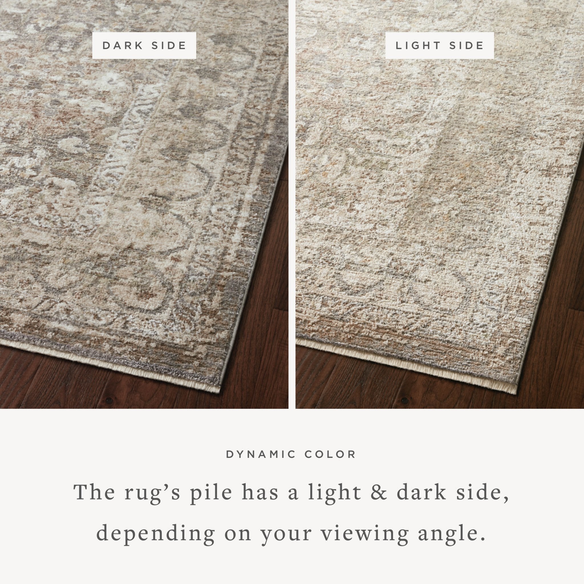 Loloi Sonnet Grey / Sage Area Rug White Cliff Studio Area Rug