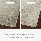 Loloi Sonnet Lagoon / Gold Area Rug White Cliff Studio Area Rug