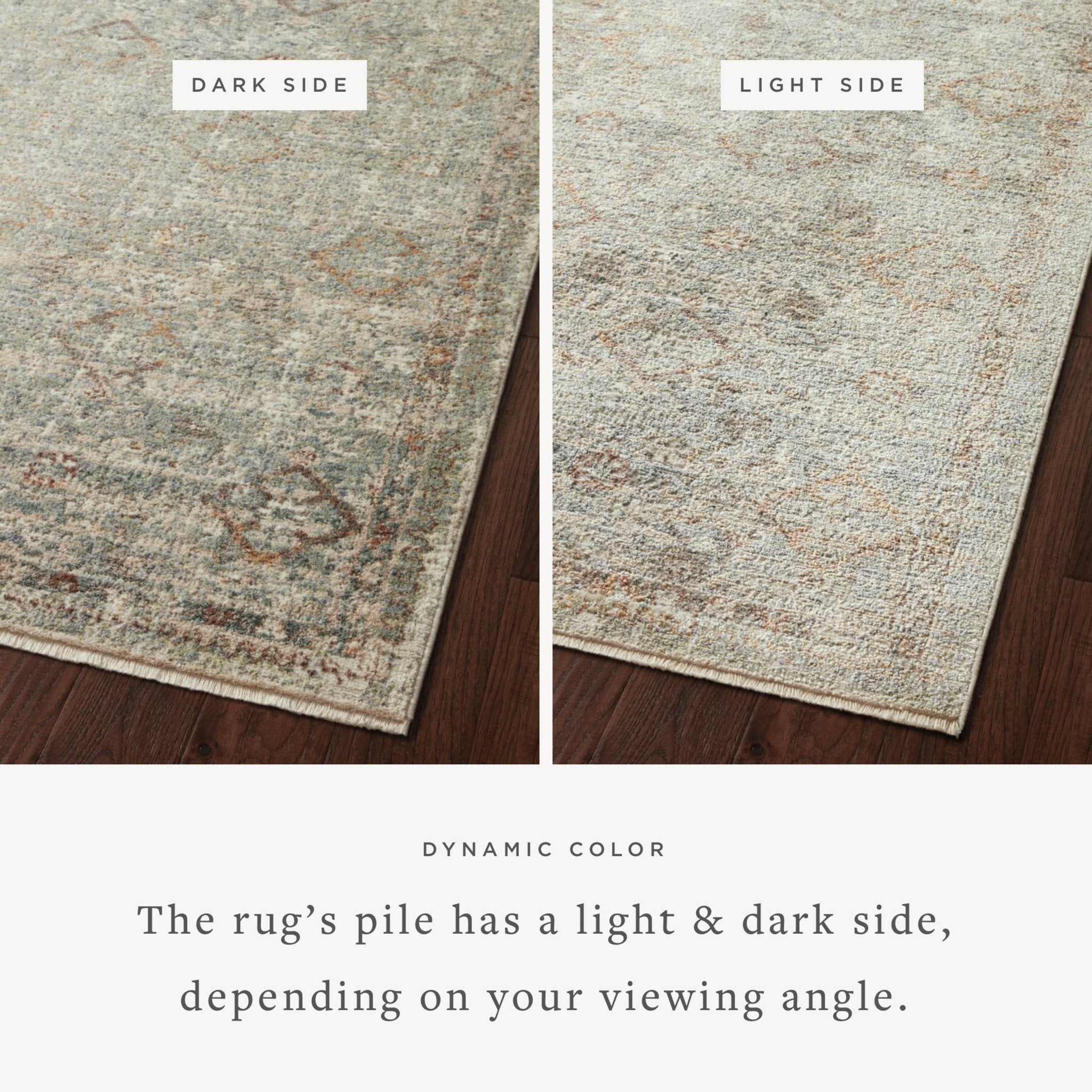 Loloi Sonnet Lagoon / Gold Area Rug White Cliff Studio Area Rug