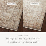 Loloi Sonnet Mocha / Tan Area Rug White Cliff Studio Area Rug
