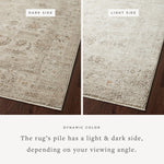 Loloi Sonnet Sand / Taupe Area Rug White Cliff Studio Area Rug